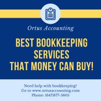 Ortus Accounting Inc. image 2